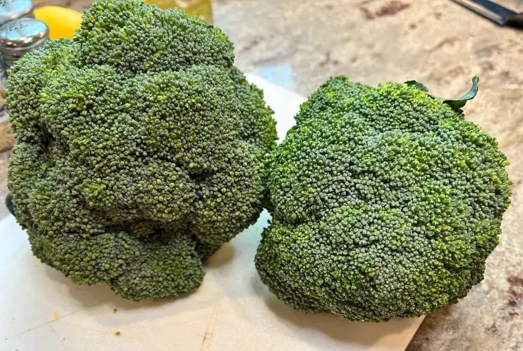 two broccoli heads