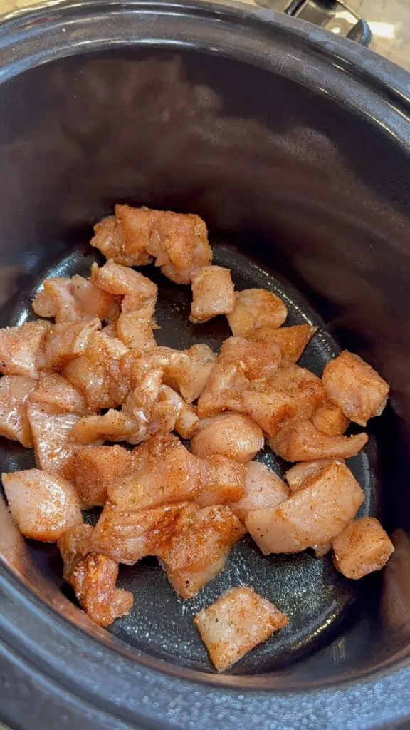 seasoned chicken in the crockpot