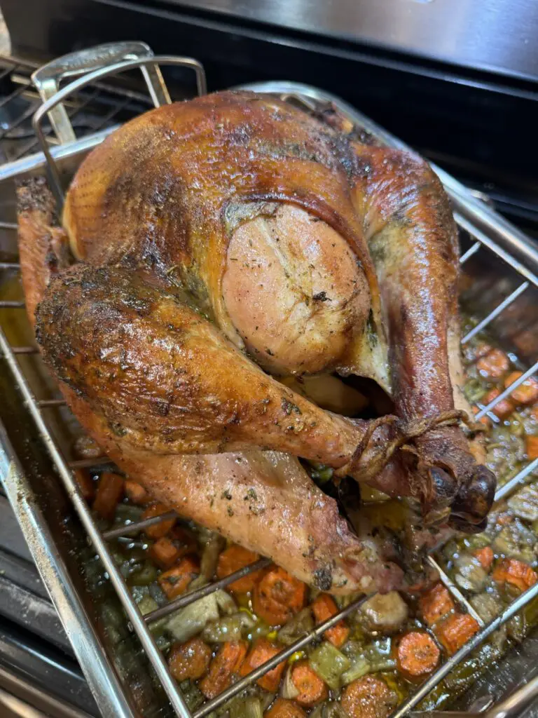 finished foolproof roasted thanksgiving turkey