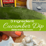 3 Ingredient Cucumber Dip