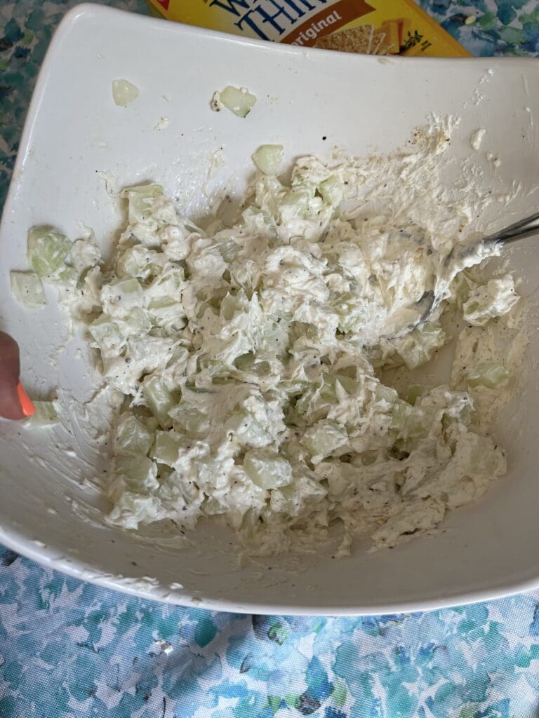 mixed cucumber dip
