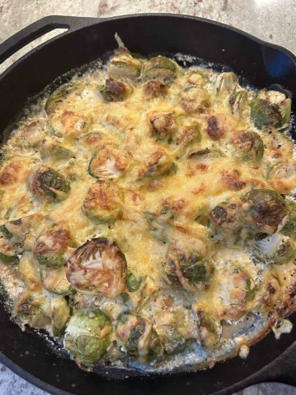 finished creamy brussels sprouts in baking dish