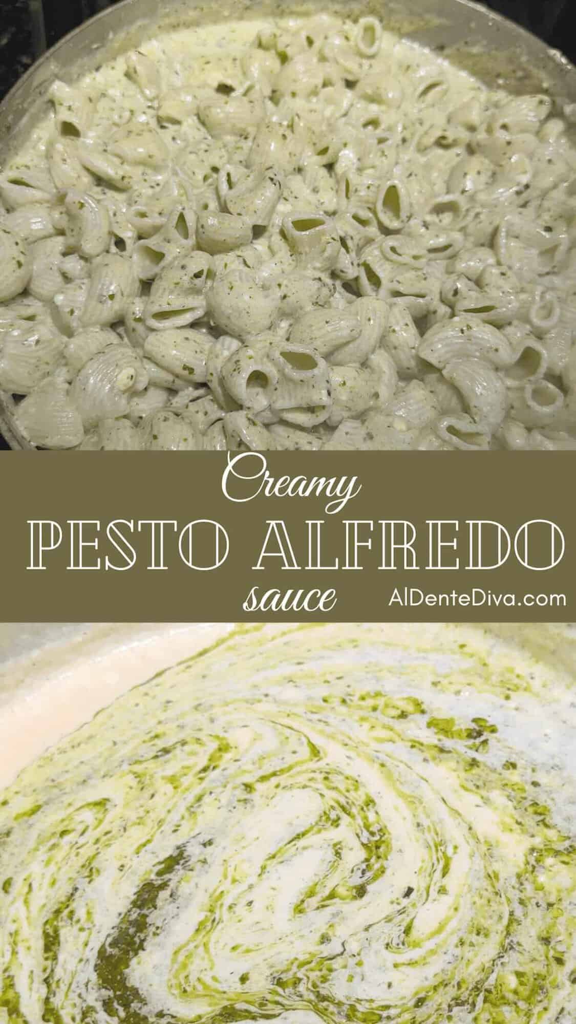 creamy pesto alfredo sauce cover