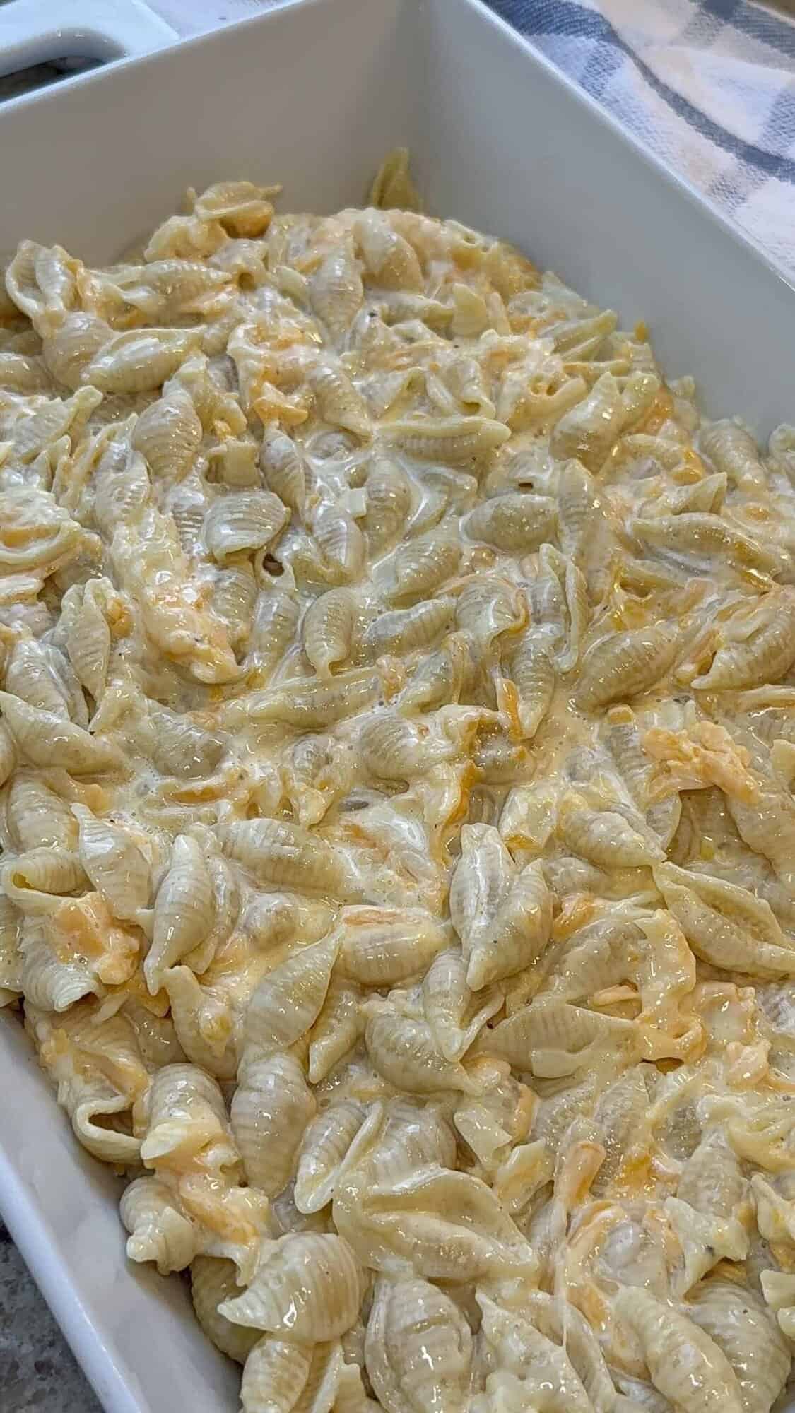shells pasta with cheese and cheese