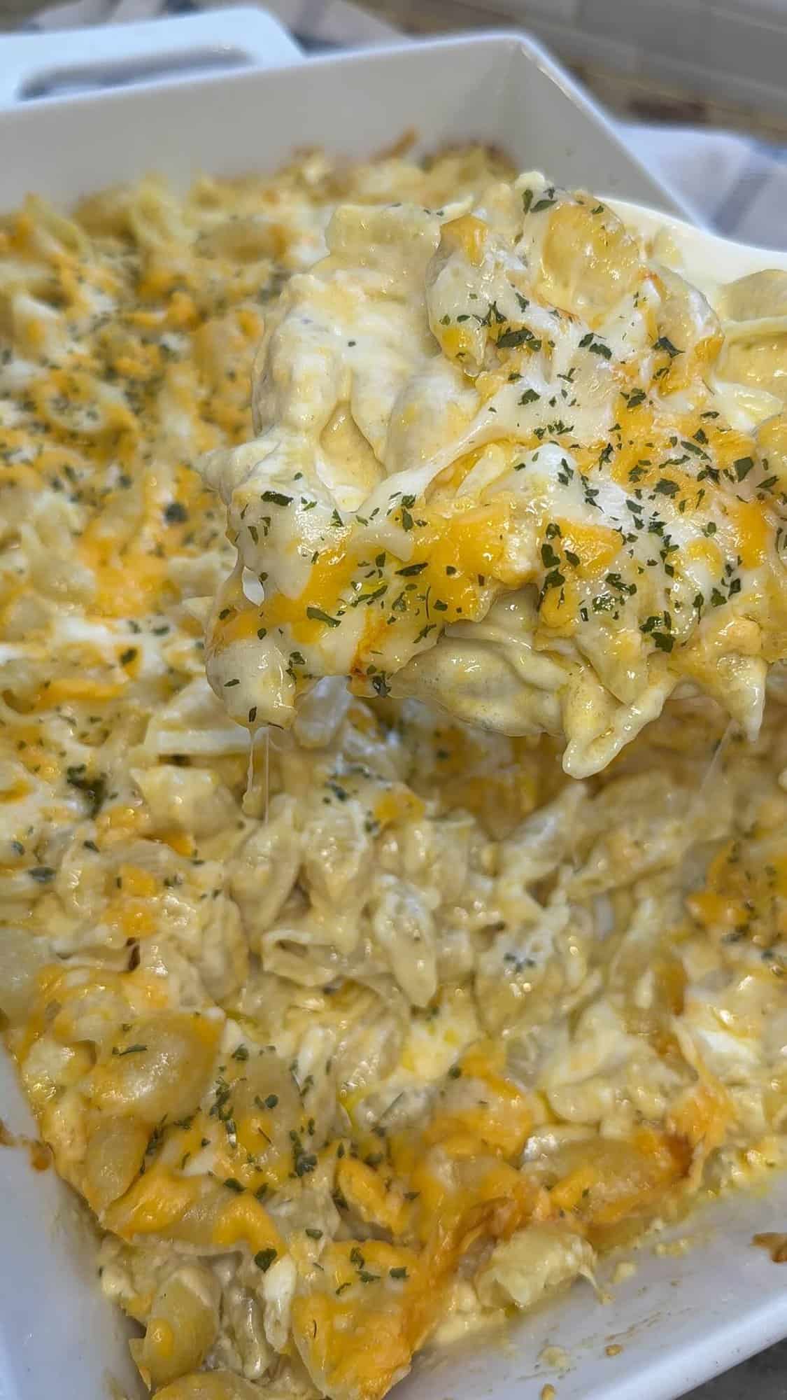 cooked shells and cheese