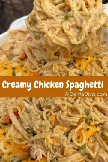 creamy chicken spaghetti cover
