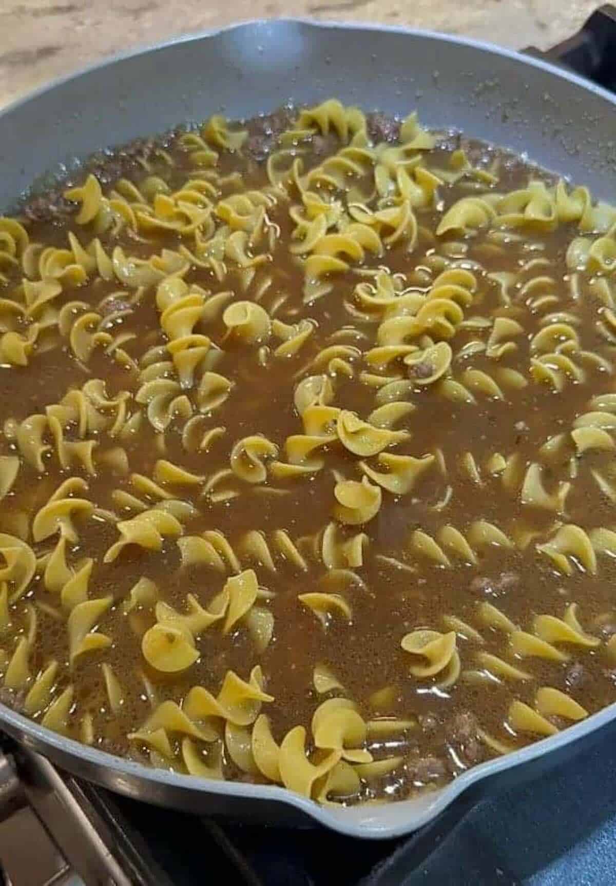 egg noodles submerged in beef broth