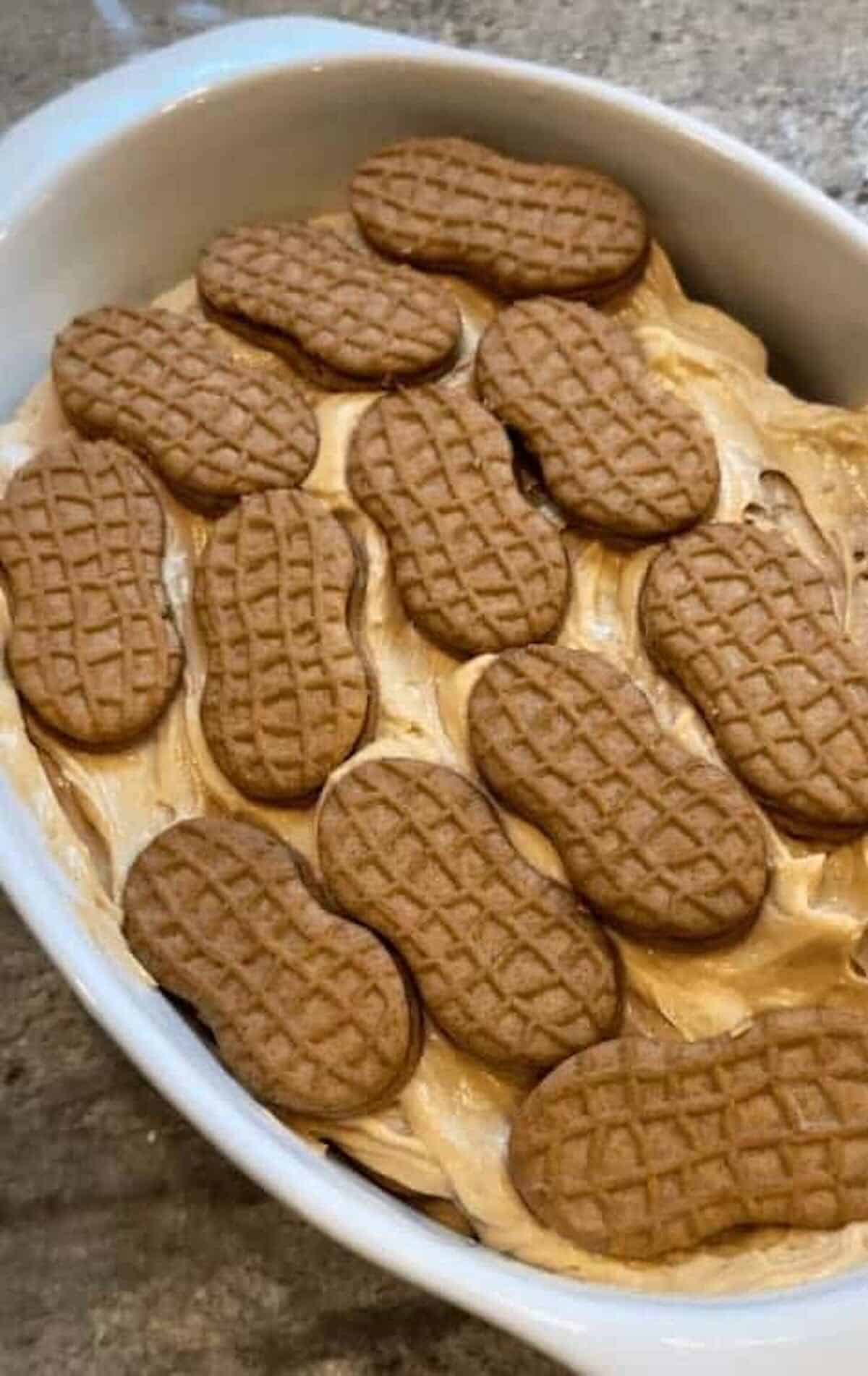 nutter butter cookies placed on top of peanut butter pudding layer