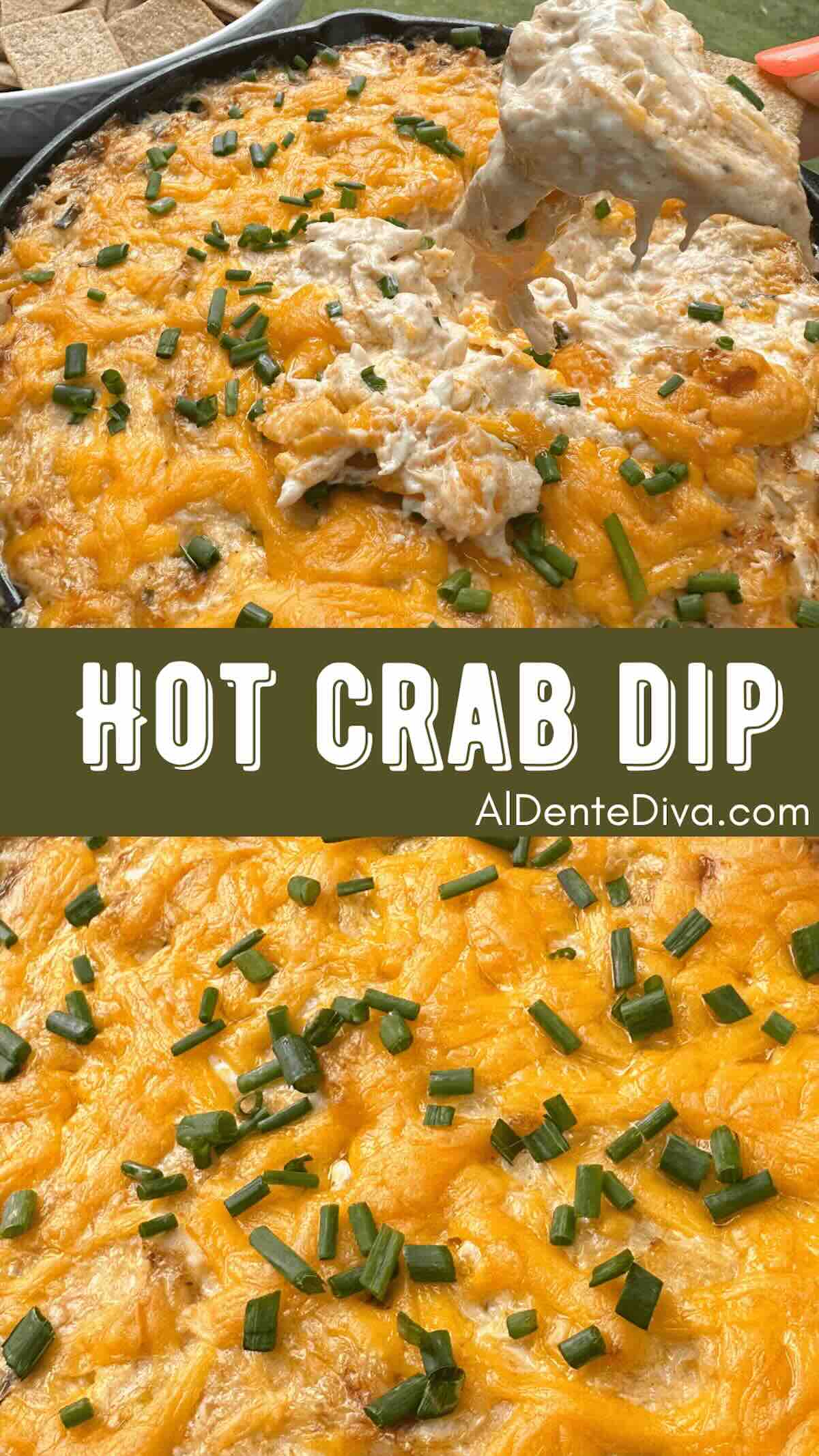 hot crab dip cover