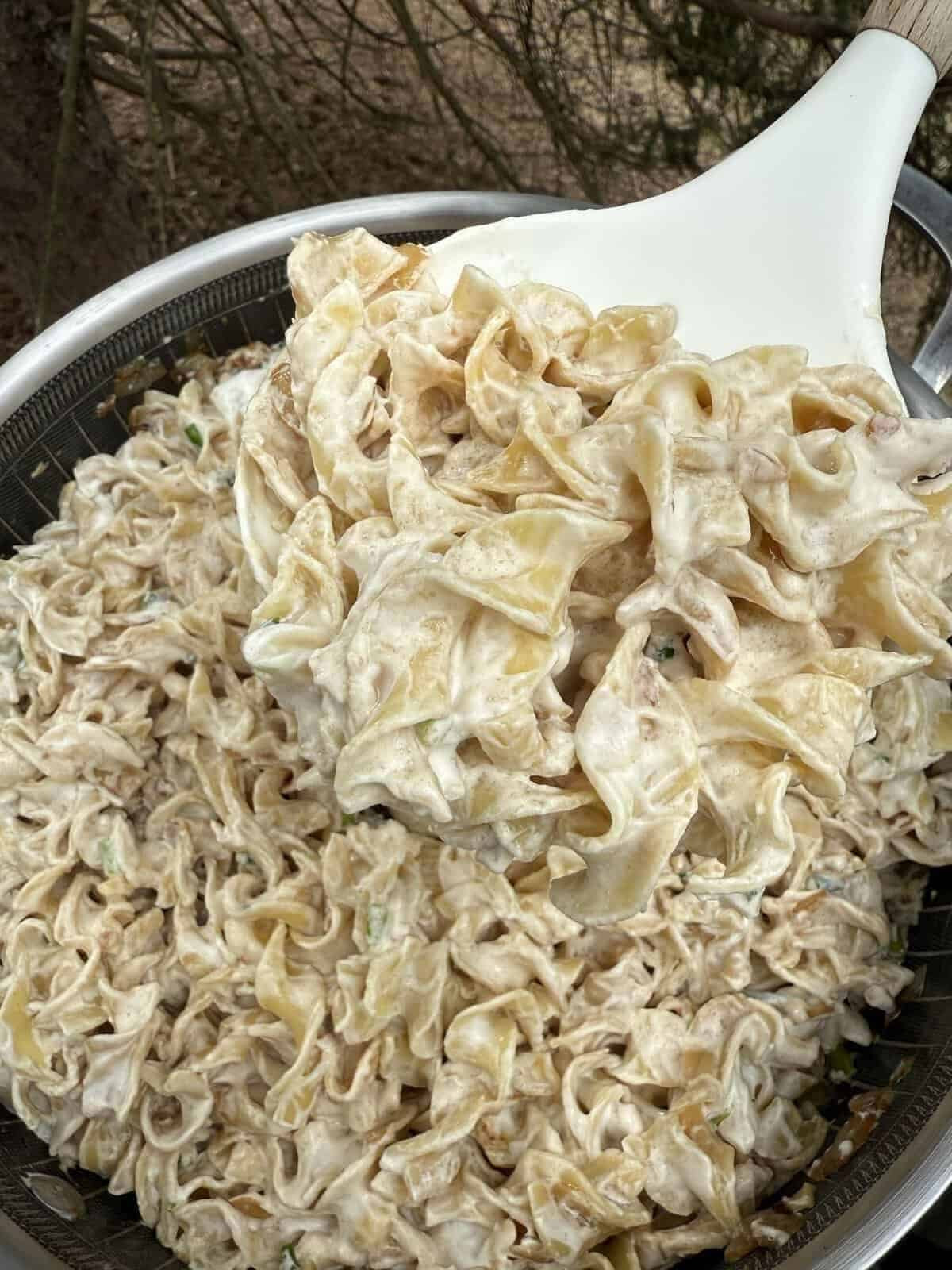 finished sour cream and onion egg noodles