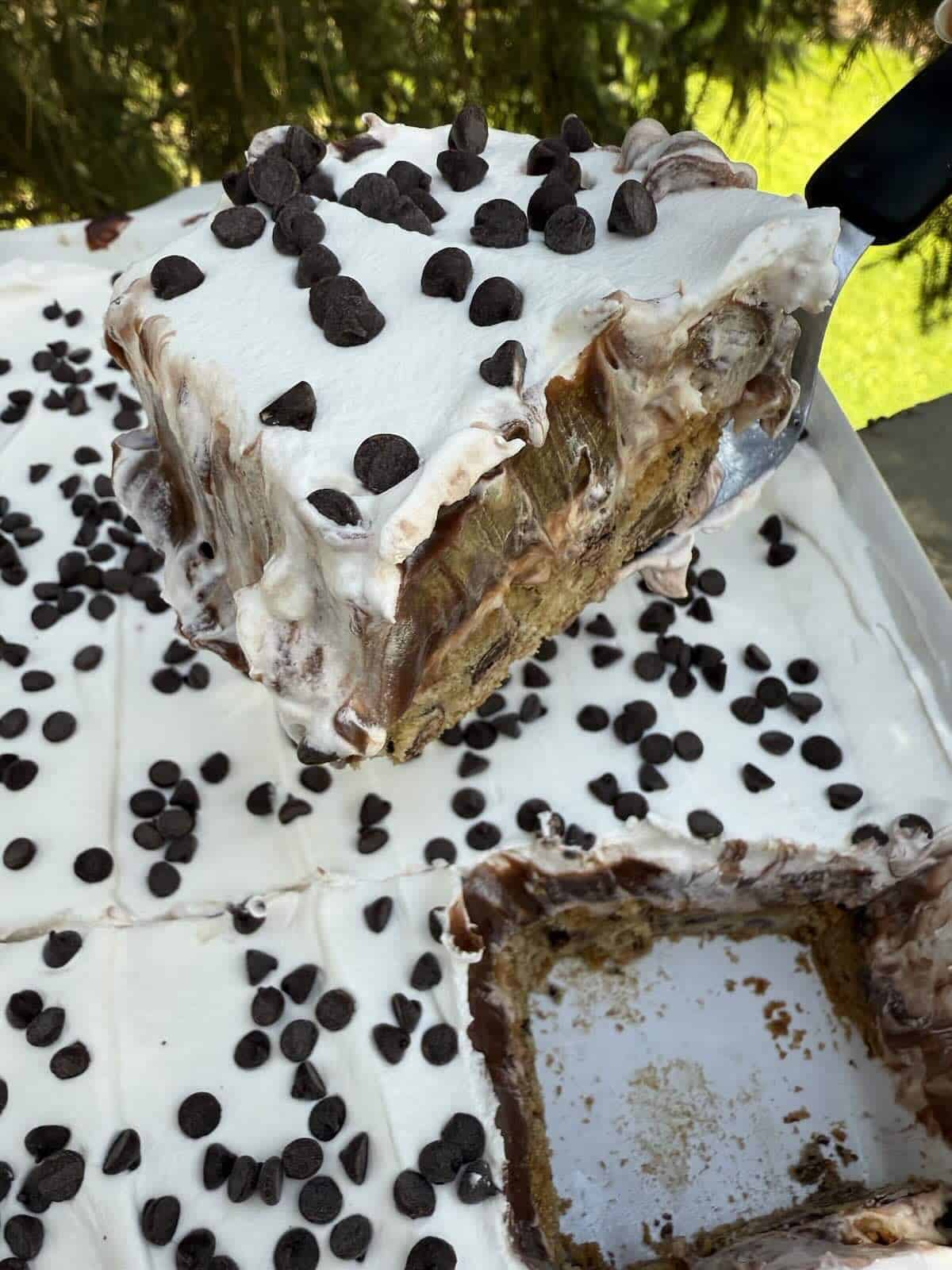finished chocolate chip cookie delight