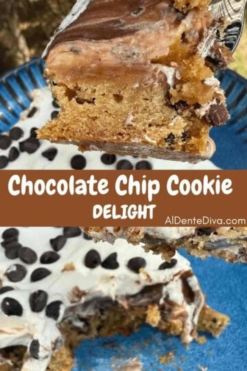 Chocolate Chip COokie Delight Cover