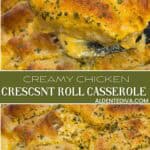 creamy chicken crescent roll casserole