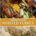 orange and herb roasted turkey