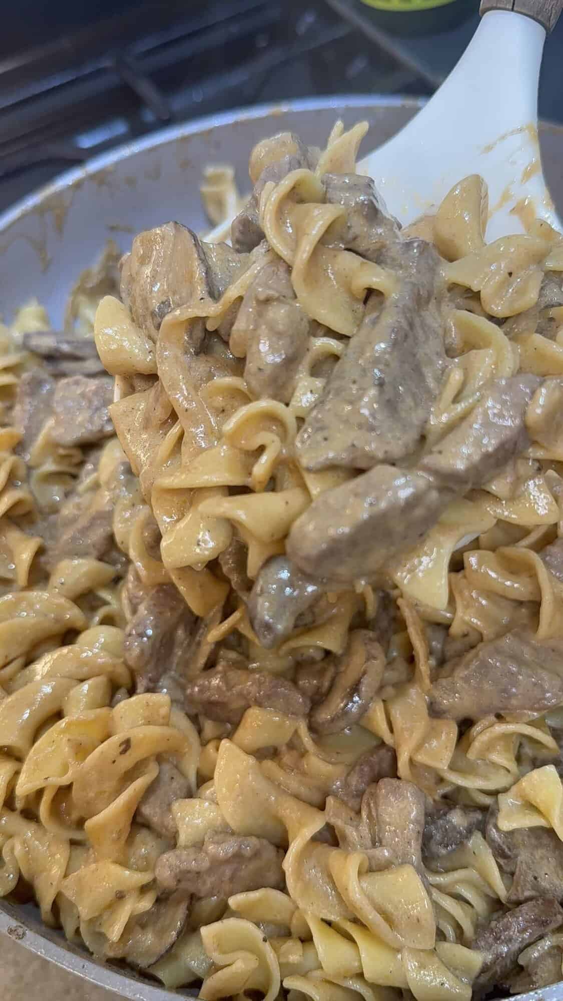 finished russian beef stroganoff