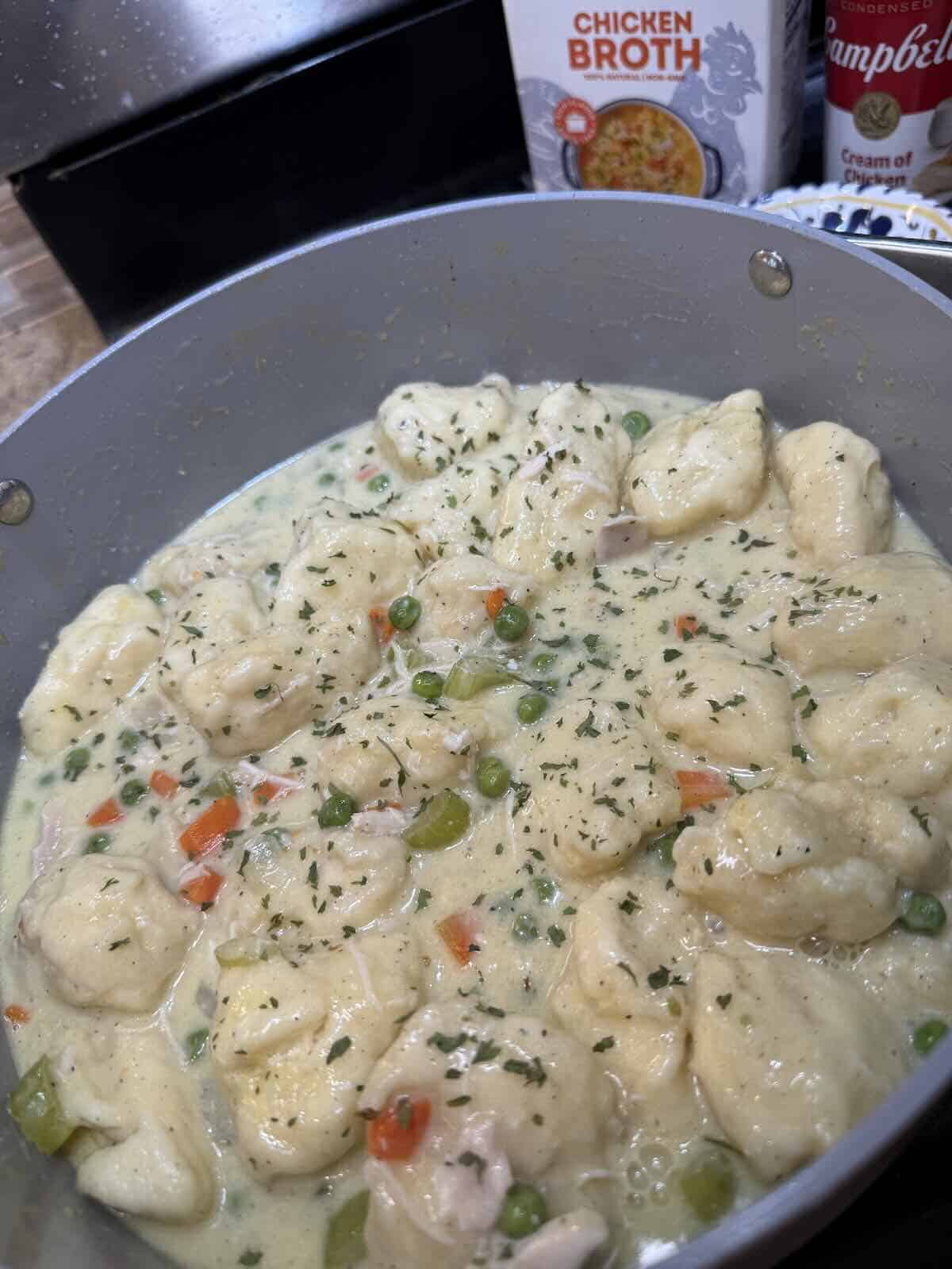 finished chicken and dumpling soup with biscuits