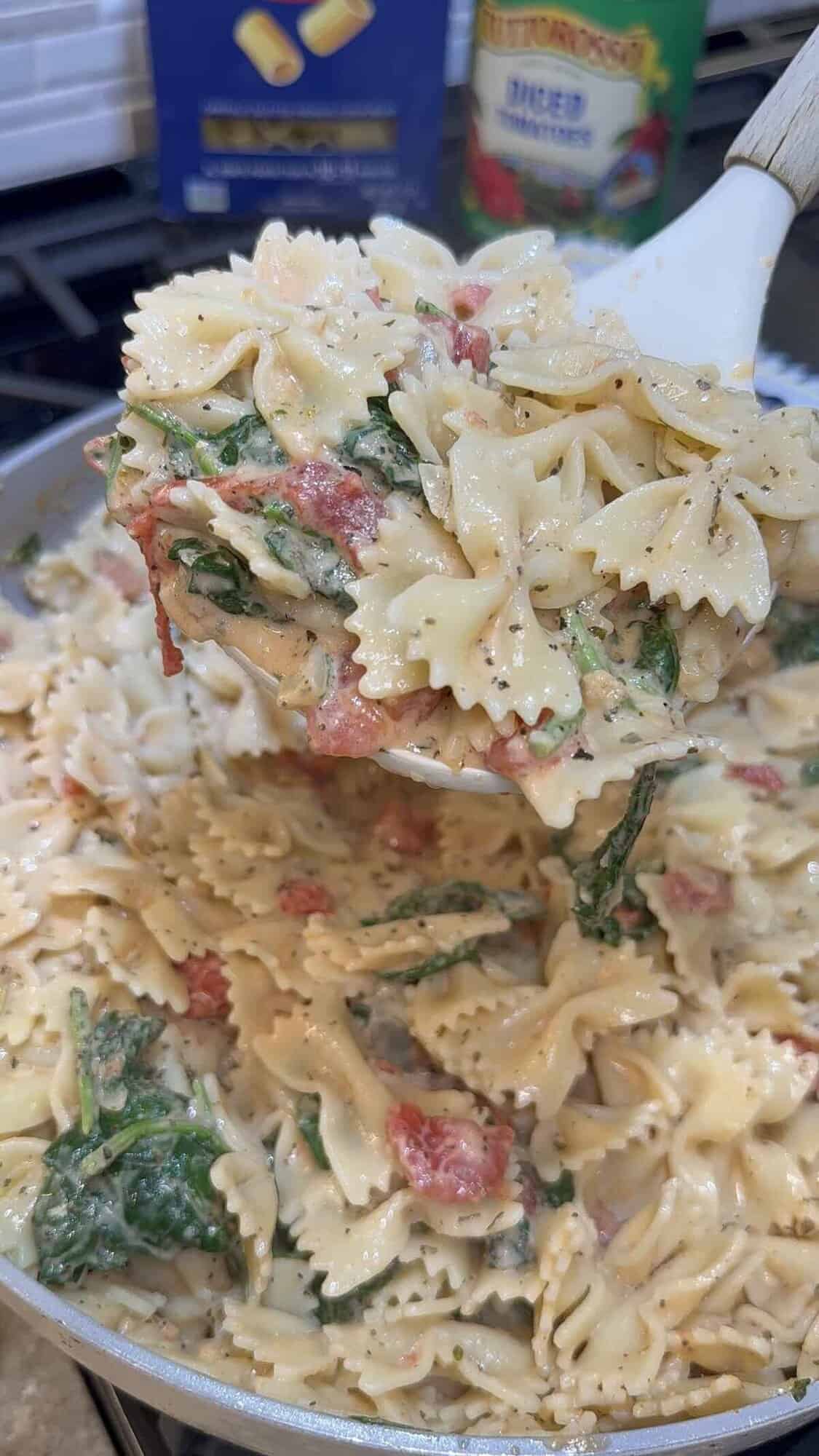 creamy spinach and tomato bow tie pasta