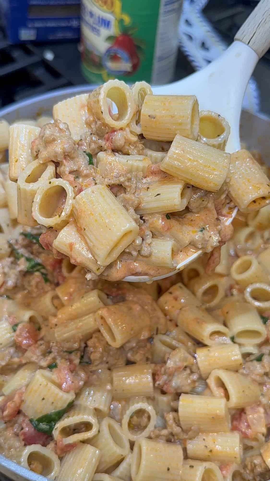 cooked rigatoni pasta tossed in sausage sauce
