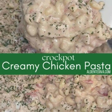 crockpot creamy chicken paasta