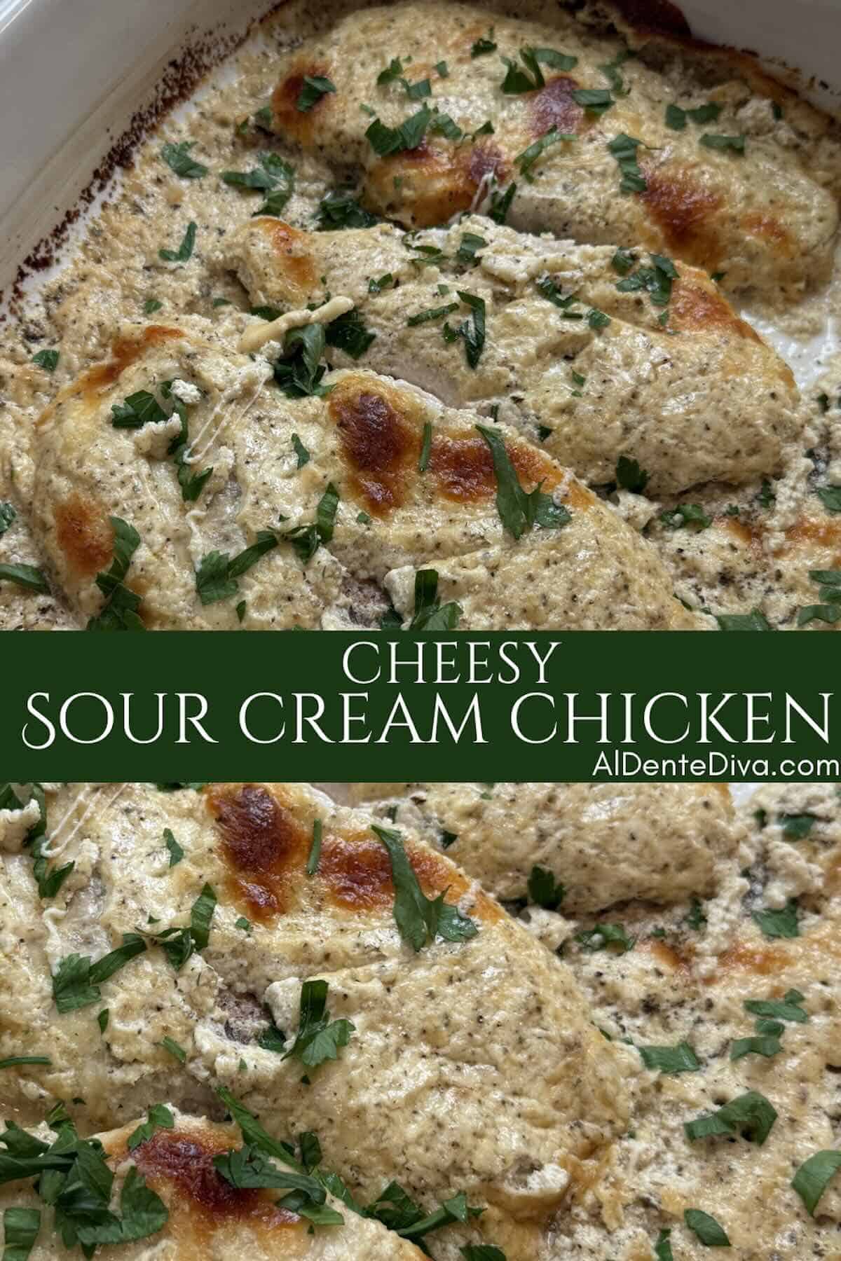 cheesy sour cream chicken cover