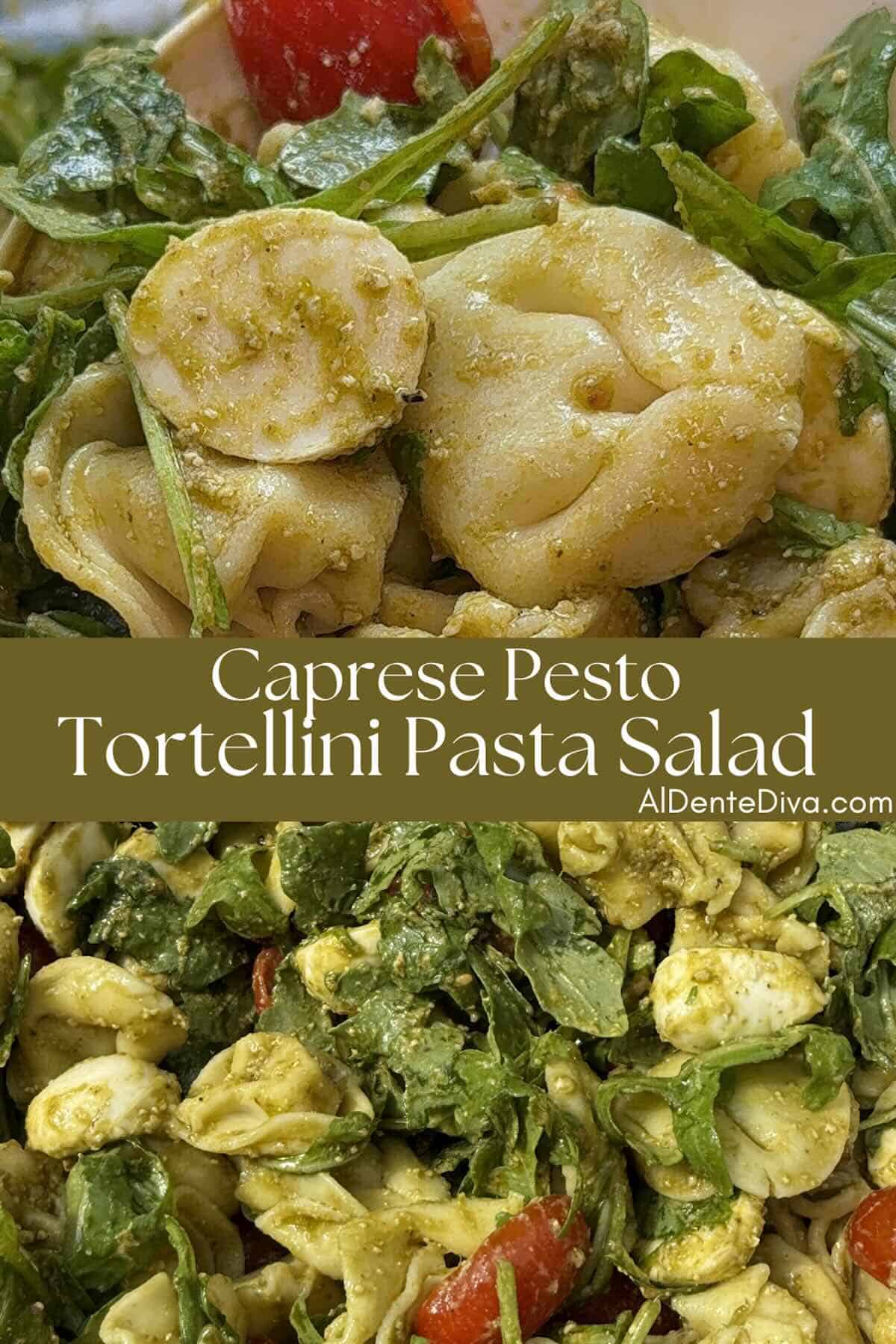 caprese pesto tortellini salad cover photo
