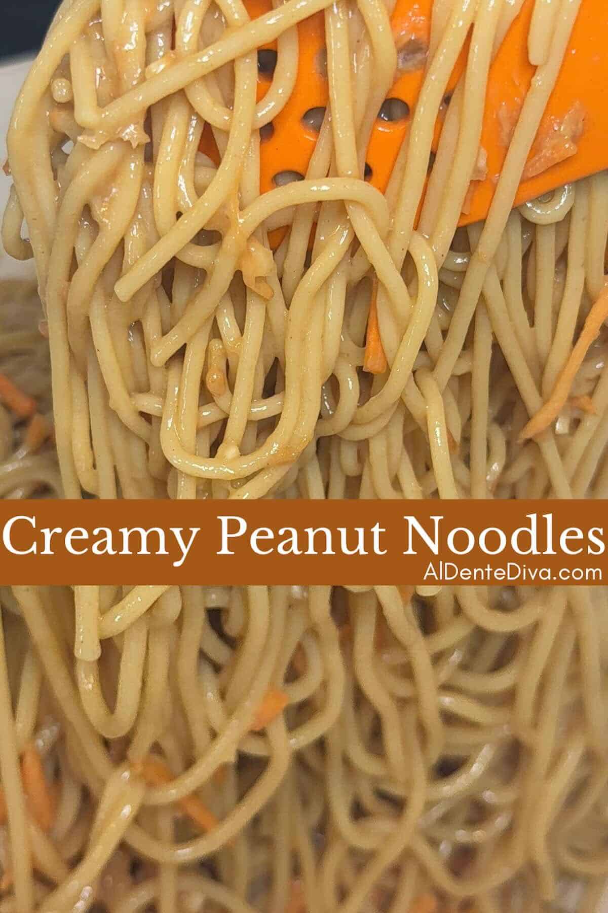 creamy peanut noodles cover