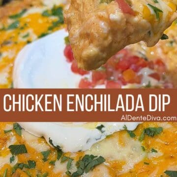 chicken enchilada dip cover