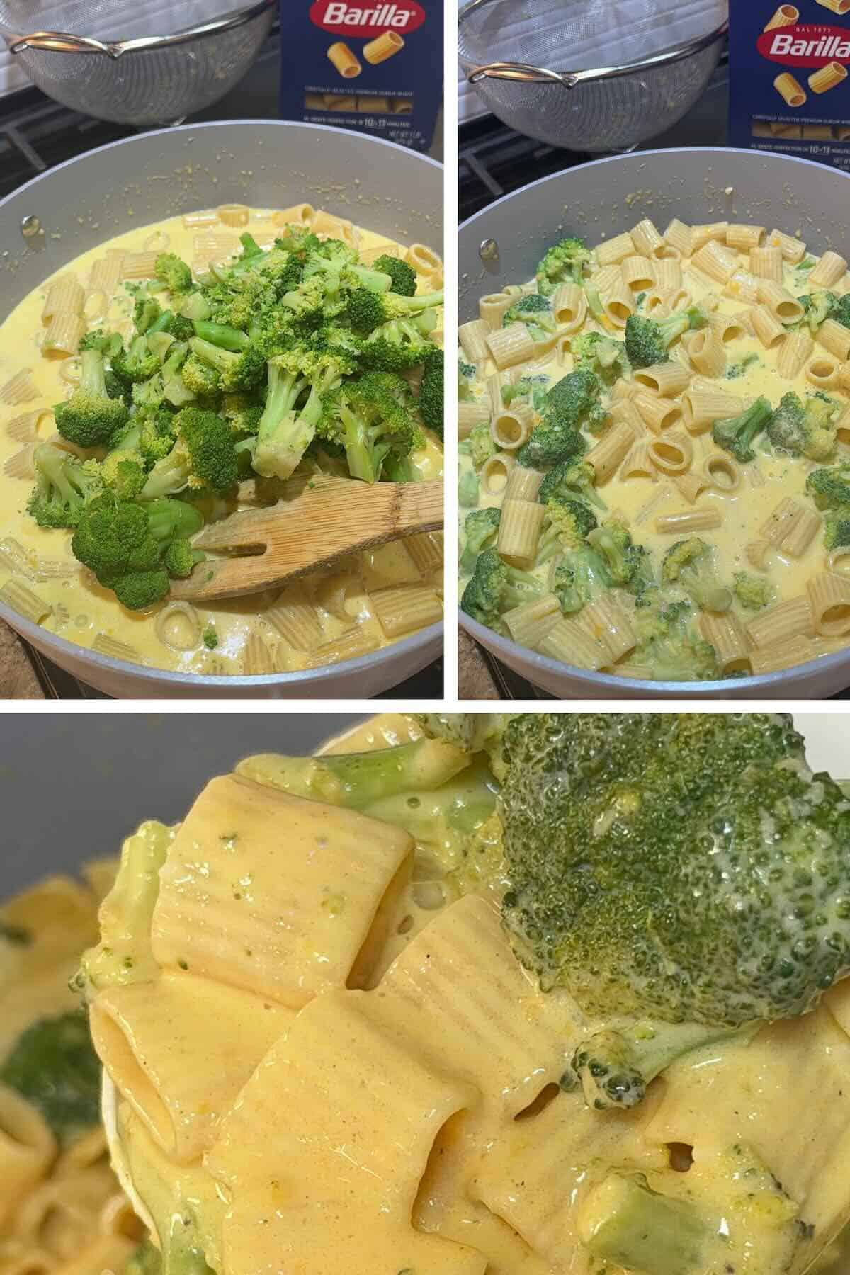 broccoli mixed into rigatoni cheese sauce